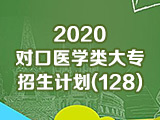 【医学类专科院校128-131】2020河南省对口招生计划_专科